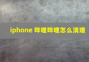 iphone 哔哩哔哩怎么清理